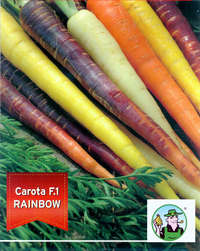 carote colorate