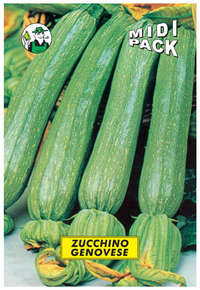 zucchino genovese