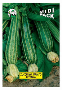 zucchino striato d'Italia
