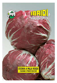 a palla rossa semi precoce