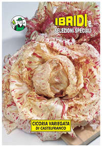 variegata di Castelfranco