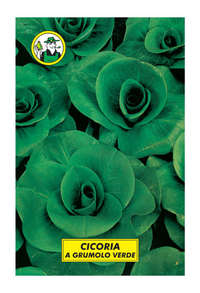 a grumolo verde