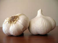 aglio bianco lavorato