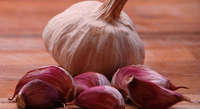 aglio rosso francese