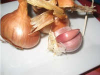 scalogna oandese