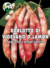 borlotto lamon rampicante