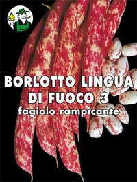 borlotto rampincate lingua di fuoco