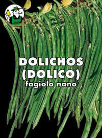 fagiolo nano magiatutto dall'occhio dolico