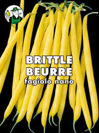 fagiolo nano mangiatutto Brittle Beurre