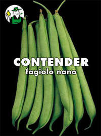 fagiolo nano mangiatutto Contender