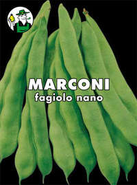 fagiolo nano mangiatutto Marconi