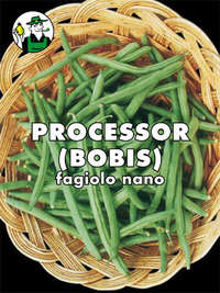 fagiolo nano mangiatutto Processor o Bobis