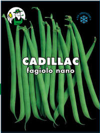 fagiolo nano mangiatutto sel. Cadillac