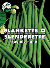 fagiolo nano mangiatutto Slankette o Slenderette