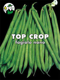 fagiolo nano mangiatutto Top Krop