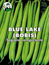 fagiolo rampicante mangiatutto Bobis (gr.250)