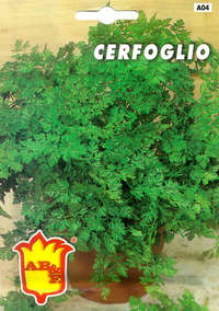 cerfoglio