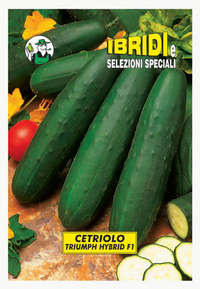 cetriolo Triumph F1