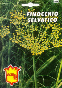 finocchio selvatico