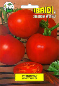 pomodoro Montecarlo F1