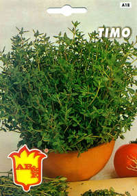 timo