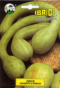 zucca Trombetta d'Albenga