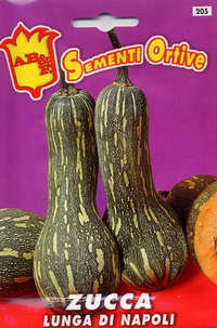 zucca lunga di Napoli