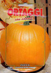 zucca Quintale seme giallo