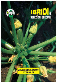 zucchino Diamant F1