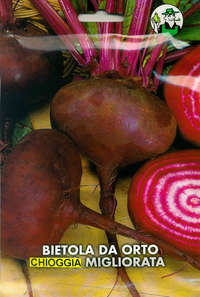 bietola da orto tonda di Chioggia