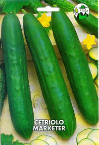 cetriolo Marketter