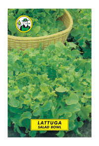 lattuga salad bowl