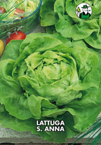 lattuga S. Anna