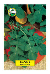 rucola coltivata