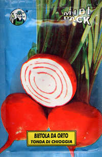 bietola da orto tonda di Chioggia