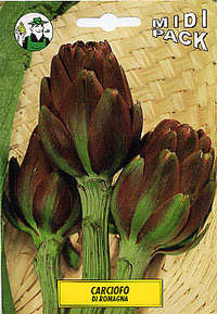 carciofo di Romagna