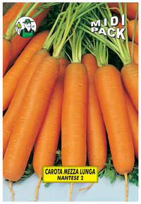 carota Nantese 2