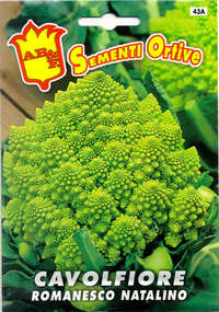 cavolfiore romanesco