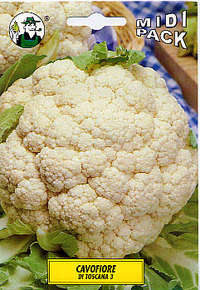 cavolfiore Toscana