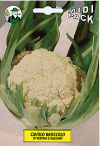 cavolo broccolo di Verona