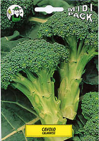 cavolo ramoso Calabrese