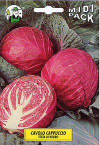 cavolo cappuccio rosso
