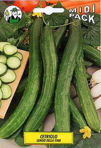 cetriolo Cina