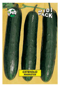 cetriolo marketer