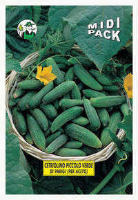 cetriolo piccolo verde Parigi