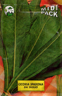 cicoria spadona da taglio