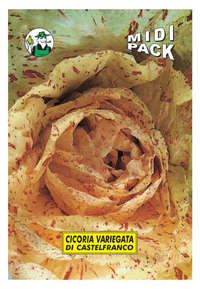 cicoria variegata di Castelfranco