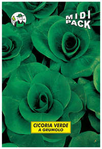 cicoria verde grumolo