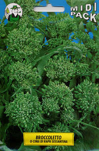 cima rapa sessantina