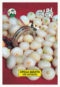 cipolla barletta